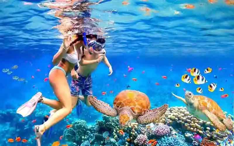 snorkeling